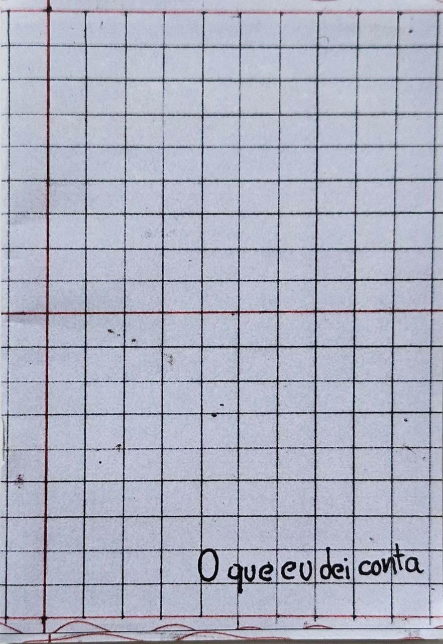 capa do o que eu dei conta